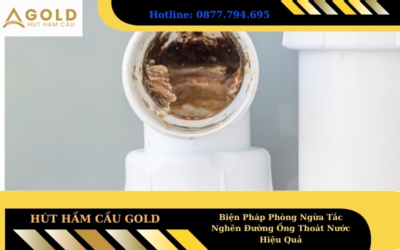 Biện Pháp Phòng Ngừa Tắc Nghẽn Đường Ống Thoát Nước Hiệu Quả