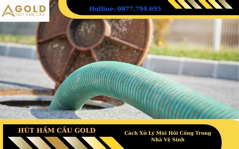 Cách Xử Lý Mùi Hôi Cống Trong Nhà Vệ Sinh