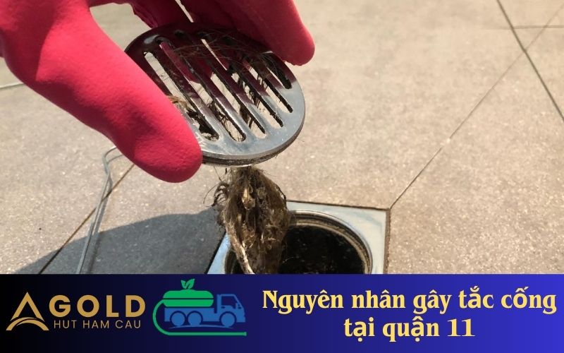 Nguyên nhân gây tắc cống tại quận 11