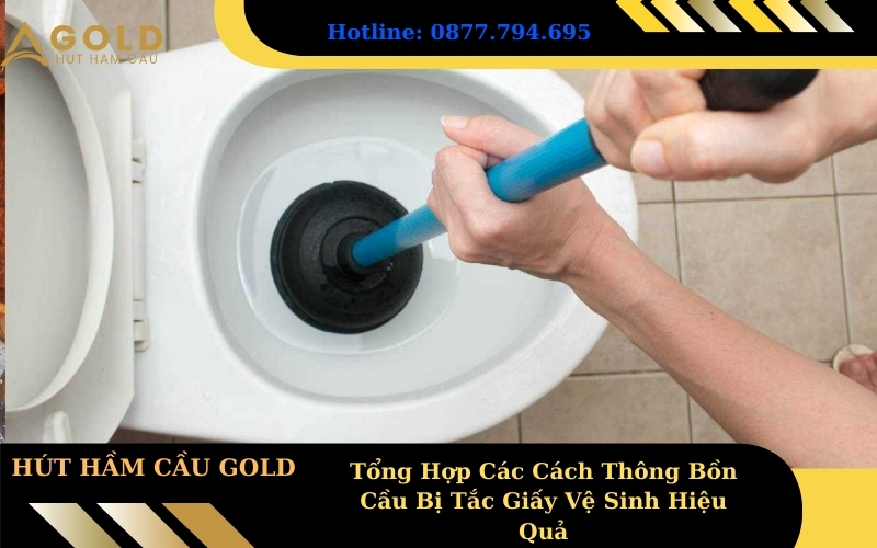Tổng Hợp Các Cách Thông Bồn Cầu Bị Tắc Giấy Vệ Sinh Hiệu Quả