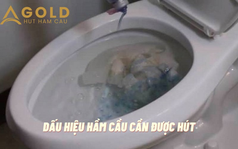 các Dấu Hiệu Hầm Cầu Cần Được Hút